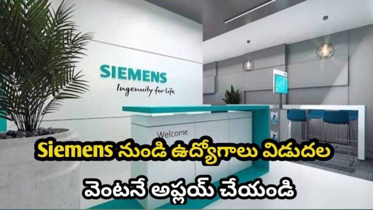 WhatsApp Image 2025-11-30 at 11.01.25_ca5d4824